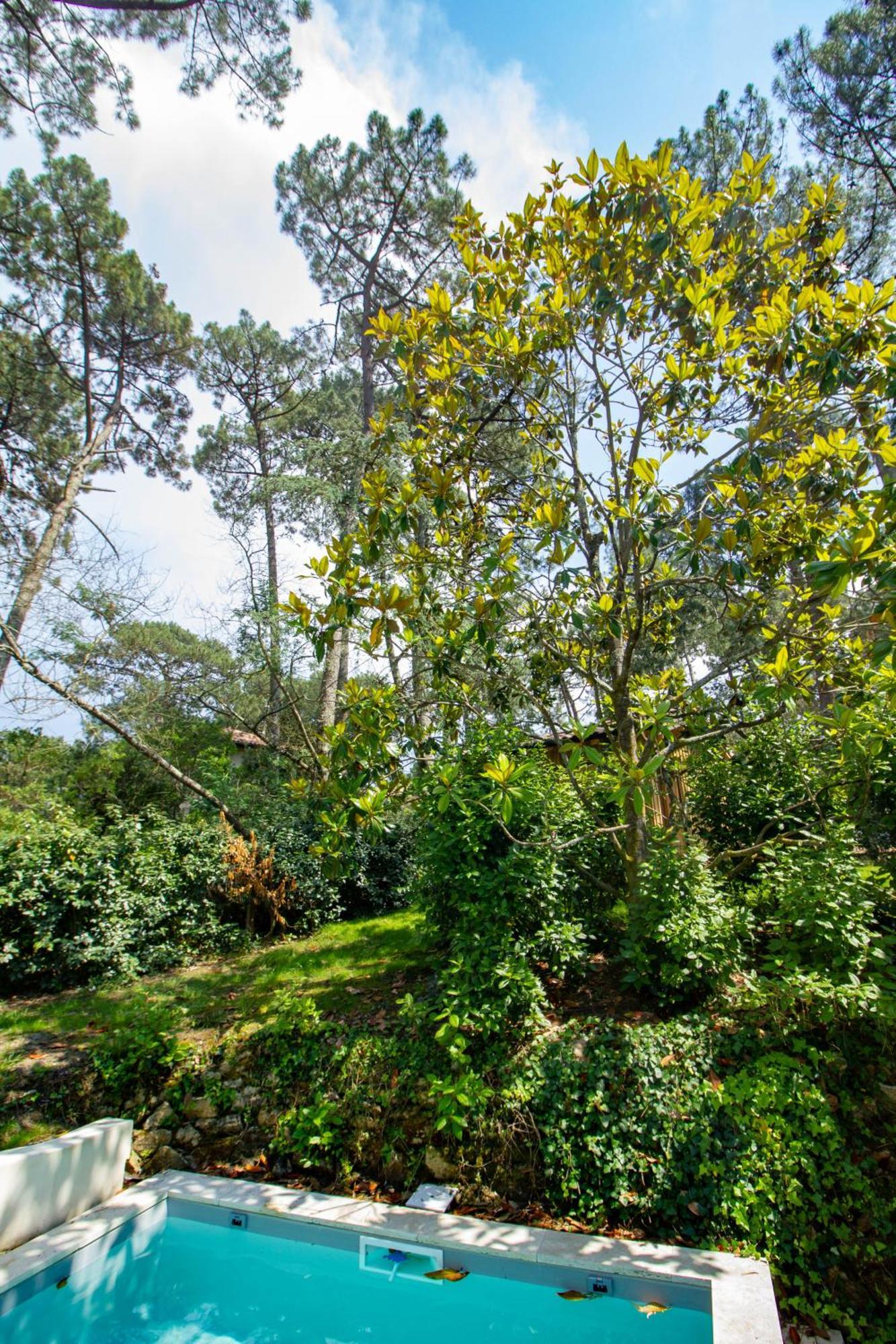 Cabane Foret Proche Plage Pyla-sur-Mer Zewnętrze zdjęcie
